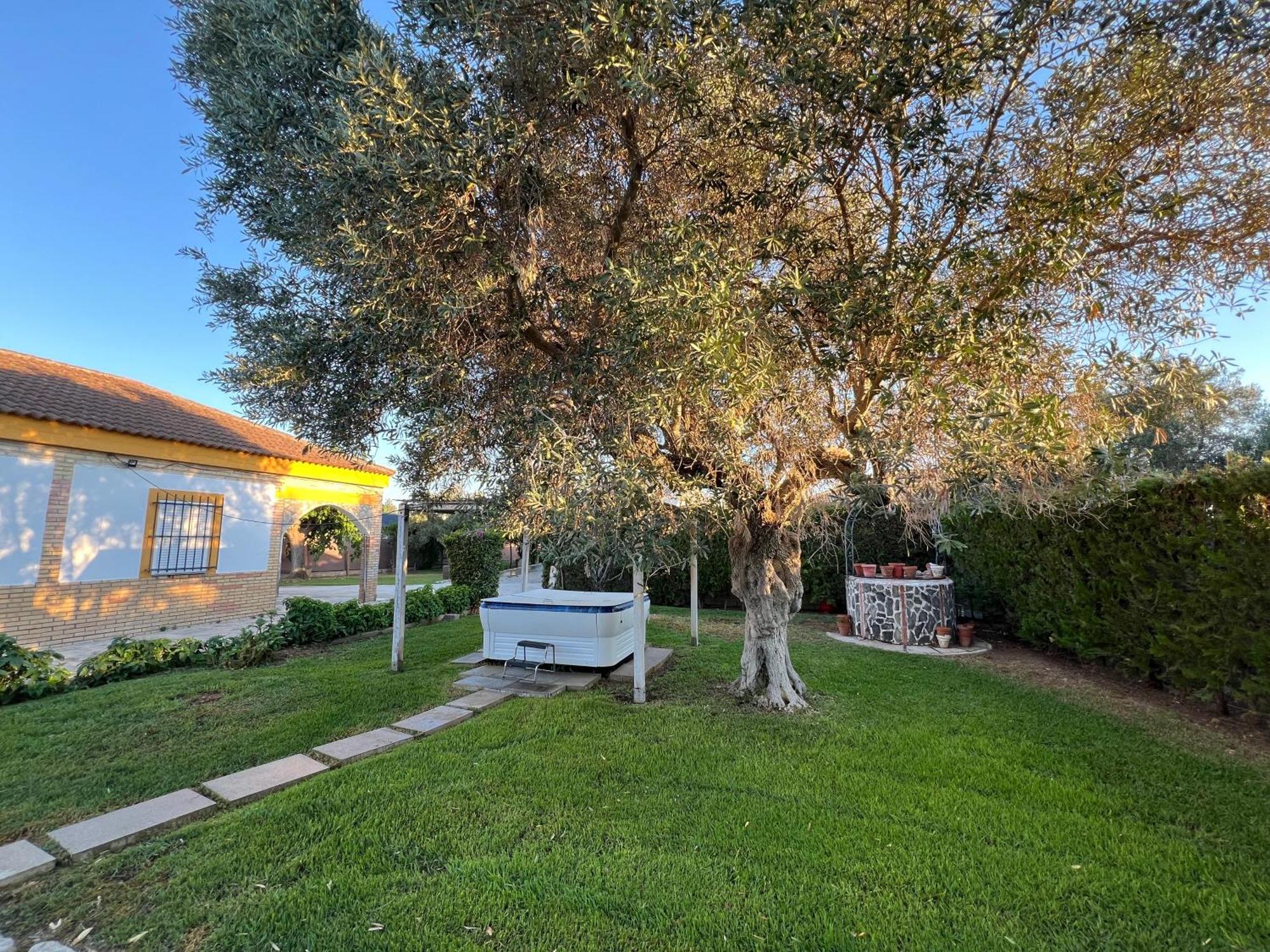Chalet Piscina Jakuzzi Sevilla Hacienda de Tarazona Exteriér fotografie