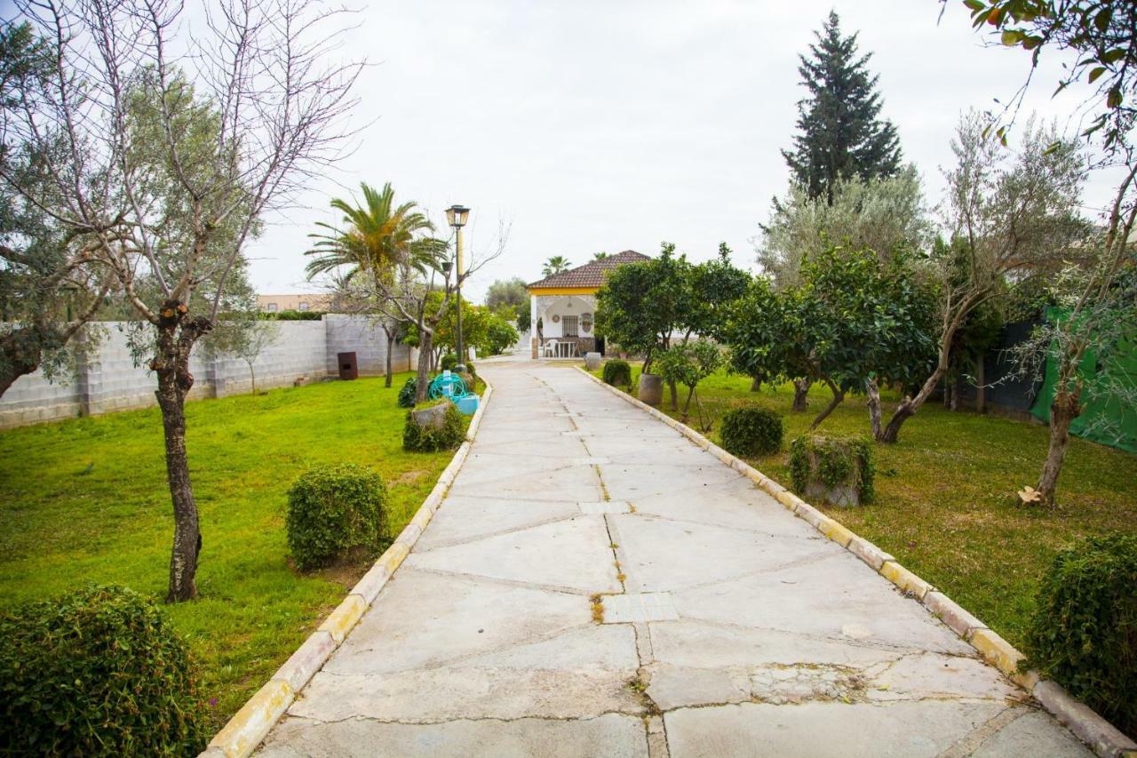 Chalet Piscina Jakuzzi Sevilla Hacienda de Tarazona Exteriér fotografie